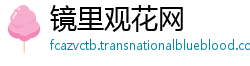 镜里观花网